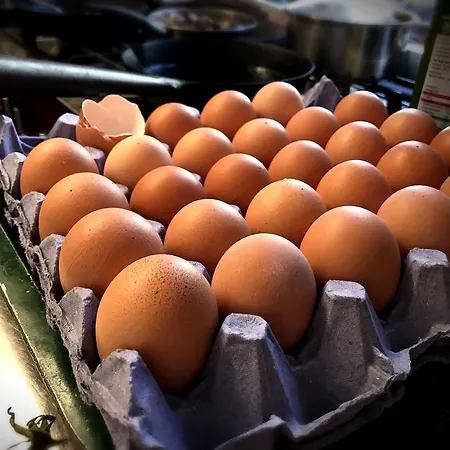 The Firs Guesthouse 4*