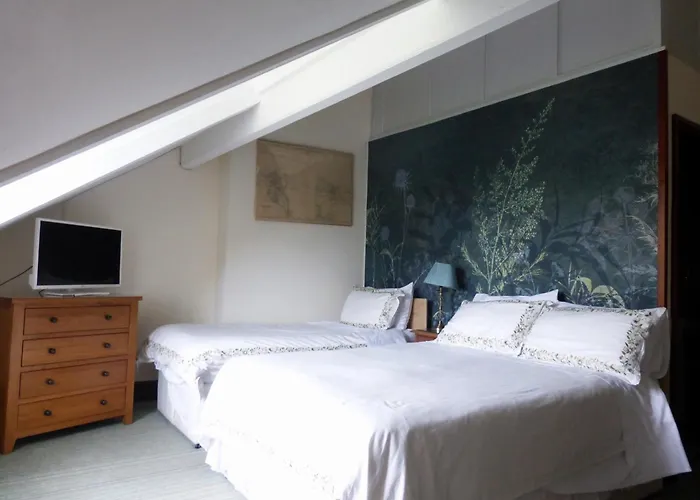 Guest house The Firs Guesthouse Runswick