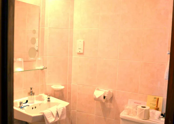 Guest house The Firs Guesthouse 4*