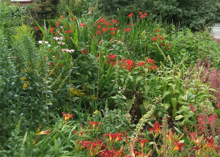 The Firs Guesthouse Guest house Runswick