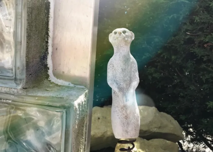 The Firs Guesthouse 4* Runswick